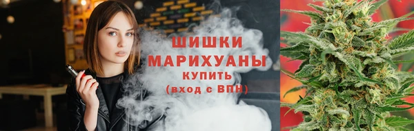 трава Аркадак