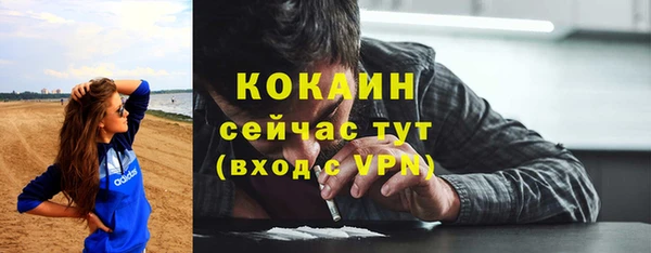 сатива Армянск