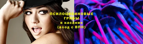 крисы Арсеньев