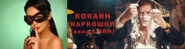 крисы Арсеньев