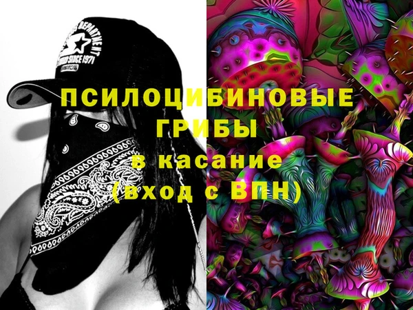 трава Аркадак