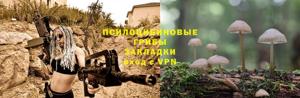 трава Аркадак