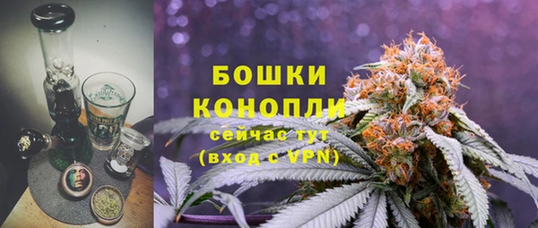 сатива Армянск