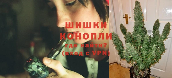 крисы Арсеньев